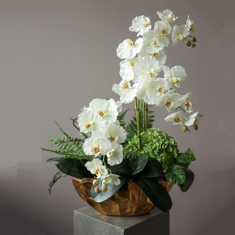 Букет «Phalaenopsis» — у кашпо